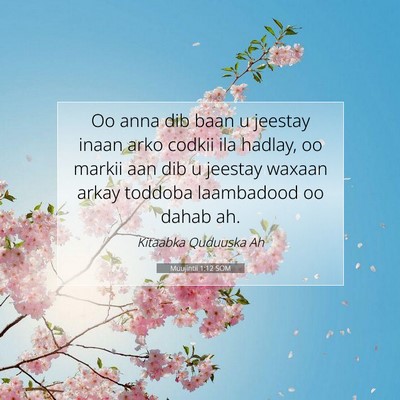 Picture 07 - Muujintii 1:12 SOM - Oo anna dib baan u jeestay inaan arko codkii ila - Bible Verse Picture