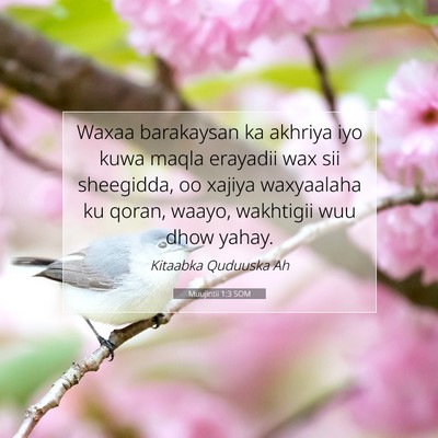Picture 07 - Muujintii 1:3 SOM - Waxaa barakaysan ka akhriya iyo kuwa maqla - Bible Verse Picture