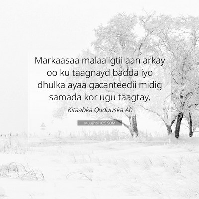 Picture 07 - Muujintii 10:5 SOM - Markaasaa malaa'igtii aan arkay oo ku taagnayd - Bible Verse Picture