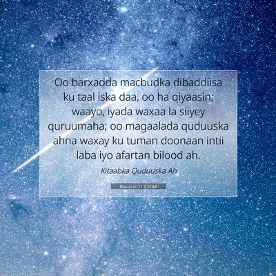 Picture 07 - Muujintii 11:2 SOM - Oo barxadda macbudka dibaddiisa ku taal iska daa, - Bible Verse Picture