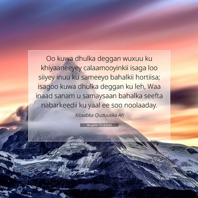 Picture 07 - Muujintii 13:14 SOM - Oo kuwa dhulka deggan wuxuu ku khiyaaneeyey - Bible Verse Picture