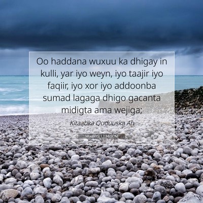 Picture 07 - Muujintii 13:16 SOM - Oo haddana wuxuu ka dhigay in kulli, yar iyo - Bible Verse Picture