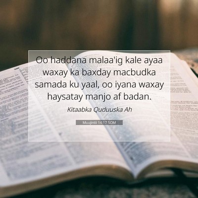 Picture 07 - Muujintii 14:17 SOM - Oo haddana malaa'ig kale ayaa waxay ka baxday - Bible Verse Picture