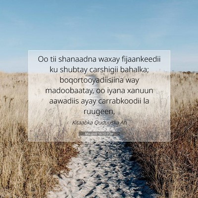 Picture 07 - Muujintii 16:10 SOM - Oo tii shanaadna waxay fijaankeedii ku shubtay - Bible Verse Picture