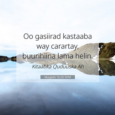 Picture 07 - Muujintii 16:20 SOM - Oo gasiirad kastaaba way carartay, buurihiina - Bible Verse Picture