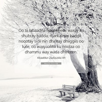 Picture 07 - Muujintii 16:3 SOM - Oo tii labaadna fijaankeedii waxay ku shubtay - Bible Verse Picture
