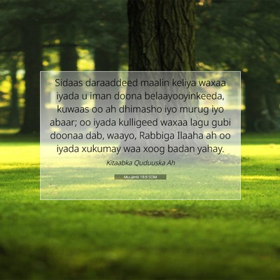 Picture 07 - Muujintii 18:8 SOM - Sidaas daraaddeed maalin keliya waxaa iyada u - Bible Verse Picture
