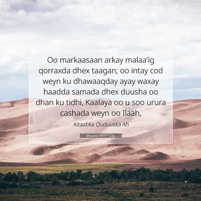 Picture 07 - Muujintii 19:17 SOM - Oo markaasaan arkay malaa'ig qorraxda dhex - Bible Verse Picture