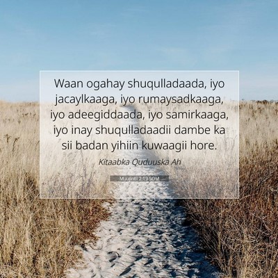 Picture 07 - Muujintii 2:19 SOM - Waan ogahay shuqulladaada, iyo jacaylkaaga, iyo - Bible Verse Picture