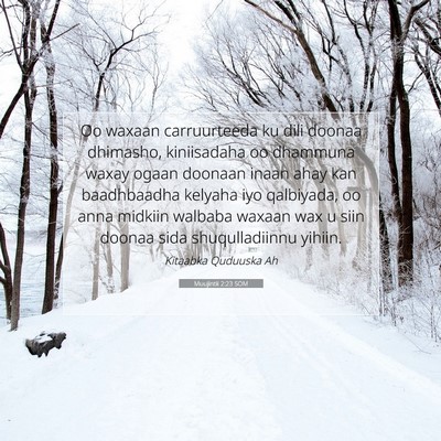 Picture 07 - Muujintii 2:23 SOM - Oo waxaan carruurteeda ku dili doonaa dhimasho, - Bible Verse Picture