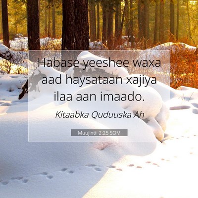 Picture 07 - Muujintii 2:25 SOM - Habase yeeshee waxa aad haysataan xajiya ilaa aan - Bible Verse Picture