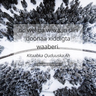 Picture 07 - Muujintii 2:28 SOM - oo weliba waxaan siin doonaa xiddigta - Bible Verse Picture