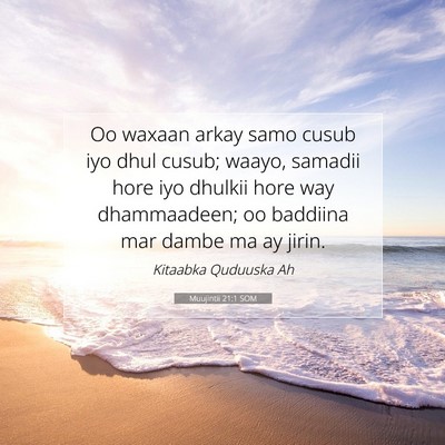 Picture 07 - Muujintii 21:1 SOM - Oo waxaan arkay samo cusub iyo dhul cusub; waayo, - Bible Verse Picture