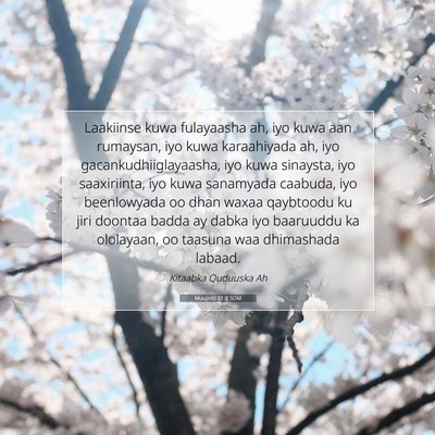 Picture 07 - Muujintii 21:8 SOM - Laakiinse kuwa fulayaasha ah, iyo kuwa aan - Bible Verse Picture