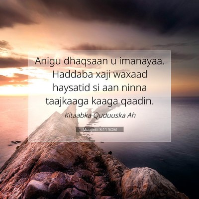 Picture 07 - Muujintii 3:11 SOM - Anigu dhaqsaan u imanayaa. Haddaba xaji waxaad - Bible Verse Picture