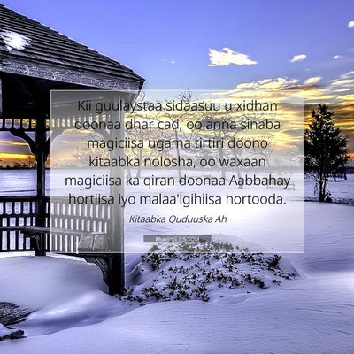 Picture 07 - Muujintii 3:5 SOM - Kii guulaystaa sidaasuu u xidhan doonaa dhar cad; - Bible Verse Picture