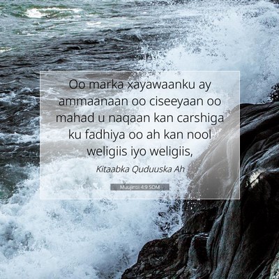 Picture 07 - Muujintii 4:9 SOM - Oo marka xayawaanku ay ammaanaan oo ciseeyaan oo - Bible Verse Picture