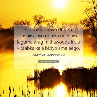 Picture 07 - Muujintii 5:3 SOM - Oo samada, iyo dhulka dushiisa, iyo dhulka - Bible Verse Picture