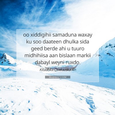 Picture 07 - Muujintii 6:13 SOM - oo xiddigihii samaduna waxay ku soo daateen - Bible Verse Picture