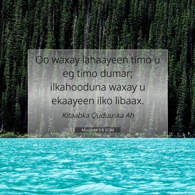 Picture 07 - Muujintii 9:8 SOM - Oo waxay lahaayeen timo u eg timo dumar; - Bible Verse Picture