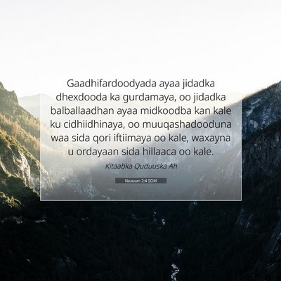 Picture 07 - Naxuum 2:4 SOM - Gaadhifardoodyada ayaa jidadka dhexdooda ka - Bible Verse Picture