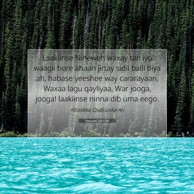 Picture 07 - Naxuum 2:8 SOM - Laakiinse Nineweh waxay tan iyo waagii hore ahaan - Bible Verse Picture