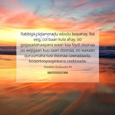 Picture 07 - Naxuum 3:5 SOM - Rabbigii ciidammadu wuxuu leeyahay, Bal eeg, col - Bible Verse Picture