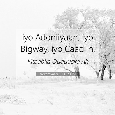 Picture 07 - Nexemyaah 10:16 SOM - iyo Adoniiyaah, iyo Bigway, iyo - Bible Verse Picture