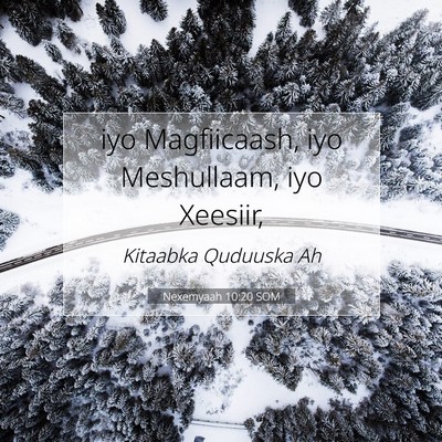 Picture 07 - Nexemyaah 10:20 SOM - iyo Magfiicaash, iyo Meshullaam, iyo - Bible Verse Picture