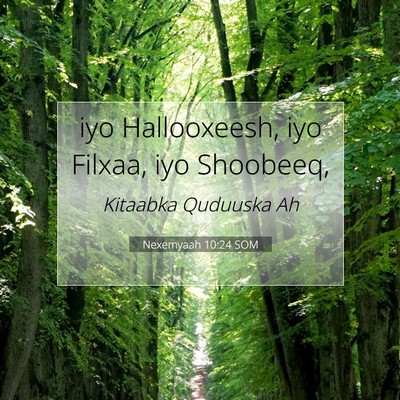 Picture 07 - Nexemyaah 10:24 SOM - iyo Hallooxeesh, iyo Filxaa, iyo - Bible Verse Picture