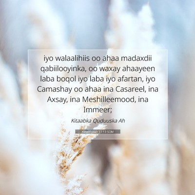 Picture 07 - Nexemyaah 11:13 SOM - iyo walaalihiis oo ahaa madaxdii qabiilooyinka, - Bible Verse Picture