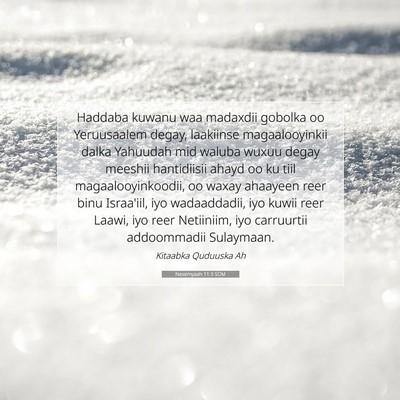 Picture 07 - Nexemyaah 11:3 SOM - Haddaba kuwanu waa madaxdii gobolka oo - Bible Verse Picture