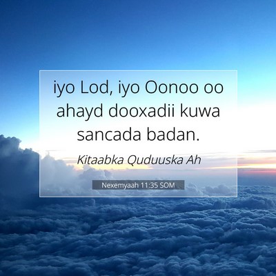 Picture 07 - Nexemyaah 11:35 SOM - iyo Lod, iyo Oonoo oo ahayd dooxadii kuwa sancada - Bible Verse Picture