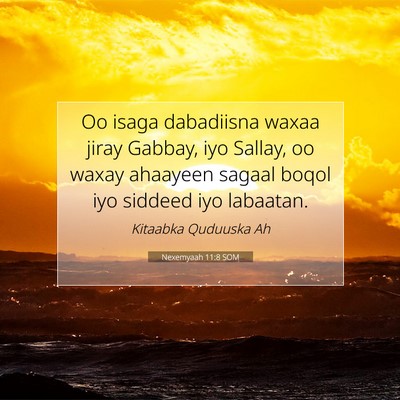 Picture 07 - Nexemyaah 11:8 SOM - Oo isaga dabadiisna waxaa jiray Gabbay, iyo - Bible Verse Picture