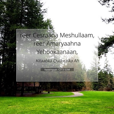 Picture 07 - Nexemyaah 12:13 SOM - reer Cesraana Meshullaam, reer Amaryaahna - Bible Verse Picture