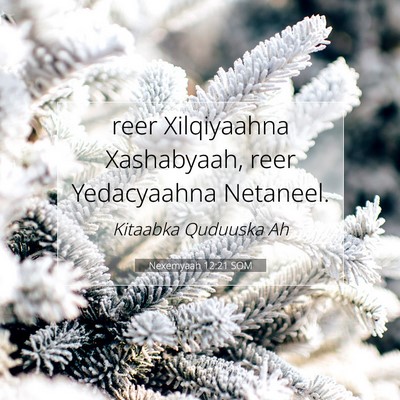 Picture 07 - Nexemyaah 12:21 SOM - reer Xilqiyaahna Xashabyaah, reer Yedacyaahna - Bible Verse Picture