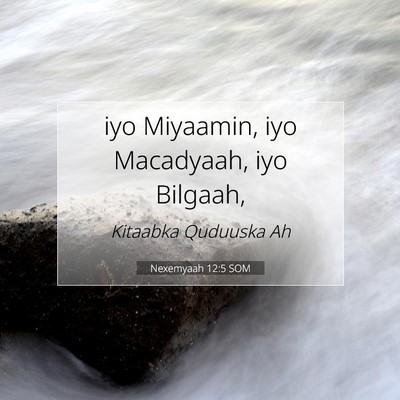 Picture 07 - Nexemyaah 12:5 SOM - iyo Miyaamin, iyo Macadyaah, iyo - Bible Verse Picture