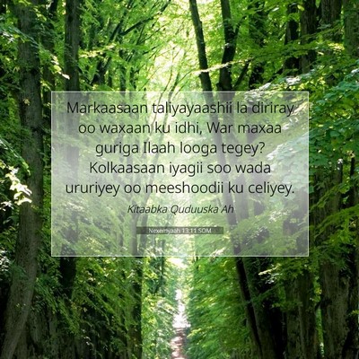 Picture 07 - Nexemyaah 13:11 SOM - Markaasaan taliyayaashii la diriray oo waxaan ku - Bible Verse Picture