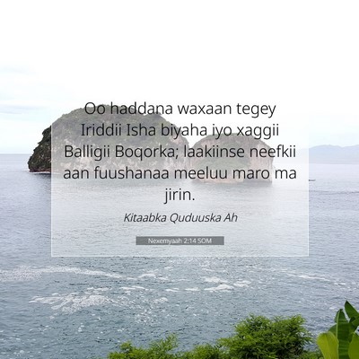 Picture 07 - Nexemyaah 2:14 SOM - Oo haddana waxaan tegey Iriddii Isha biyaha iyo - Bible Verse Picture