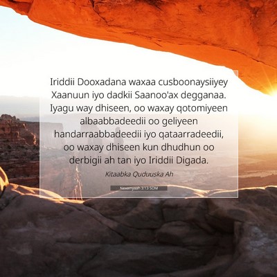 Picture 07 - Nexemyaah 3:13 SOM - Iriddii Dooxadana waxaa cusboonaysiiyey Xaanuun - Bible Verse Picture