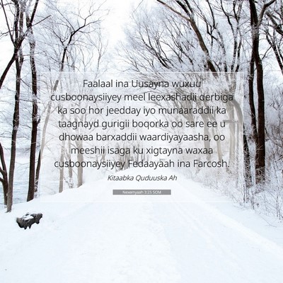 Picture 07 - Nexemyaah 3:25 SOM - Faalaal ina Uusayna wuxuu cusboonaysiiyey meel - Bible Verse Picture