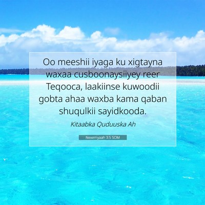 Picture 07 - Nexemyaah 3:5 SOM - Oo meeshii iyaga ku xigtayna waxaa - Bible Verse Picture