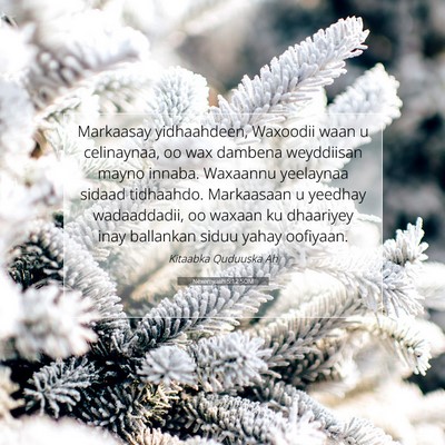 Picture 07 - Nexemyaah 5:12 SOM - Markaasay yidhaahdeen, Waxoodii waan u - Bible Verse Picture