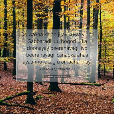 Picture 07 - Nexemyaah 5:4 SOM - Oo waxaa kaloo jiray kuwo yidhi, Gabbaradii uu - Bible Verse Picture