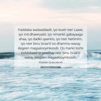 Picture 07 - Nexemyaah 7:73 SOM - Haddaba wadaaddadii, iyo kuwii reer Laawi, iyo - Bible Verse Picture
