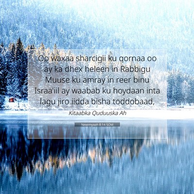 Picture 07 - Nexemyaah 8:14 SOM - Oo waxaa sharcigii ku qornaa oo ay ka dhex heleen - Bible Verse Picture