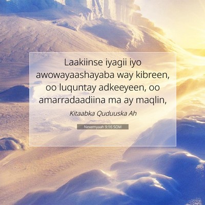 Picture 07 - Nexemyaah 9:16 SOM - Laakiinse iyagii iyo awowayaashayaba way kibreen, - Bible Verse Picture