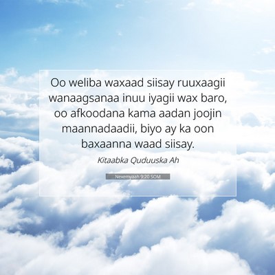 Picture 07 - Nexemyaah 9:20 SOM - Oo weliba waxaad siisay ruuxaagii wanaagsanaa - Bible Verse Picture