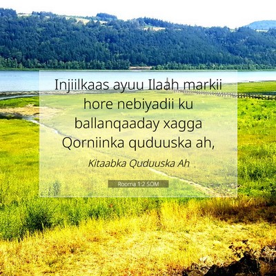 Picture 07 - Rooma 1:2 SOM - Injiilkaas ayuu Ilaah markii hore nebiyadii ku - Bible Verse Picture