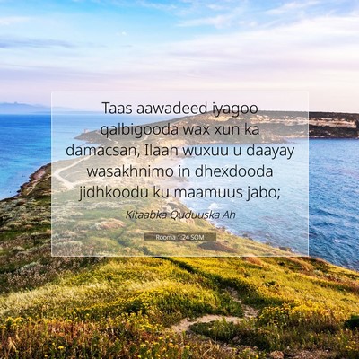 Picture 07 - Rooma 1:24 SOM - Taas aawadeed iyagoo qalbigooda wax xun ka - Bible Verse Picture